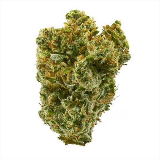 Super Silver Haze Cannabis-uk