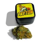 THC Crumble Gary Payton