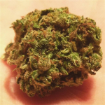 South American Cannabis Strain