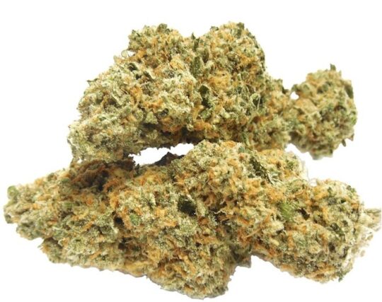 B29 Marijuana Strain