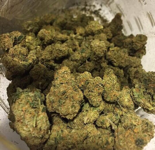 Baby Kay Cannabis Strain UK