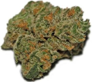Dark Blue Dream Strai