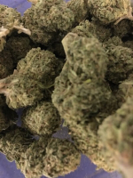 Escobar Marijuana Strain UK