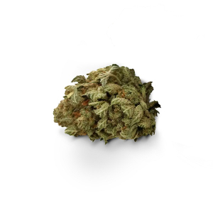 Amnesia Strain UK