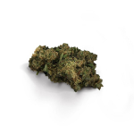Lemon Haze Strain