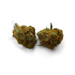 Gelato Strain UK