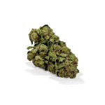 Silver Haze Strain UK